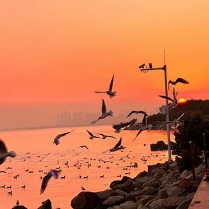 欧美日韩一区二区综合
